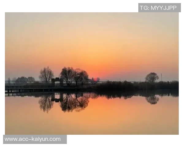 文班深入研究进攻时机力求每次出手都成为最佳选择的秘诀与心得分享